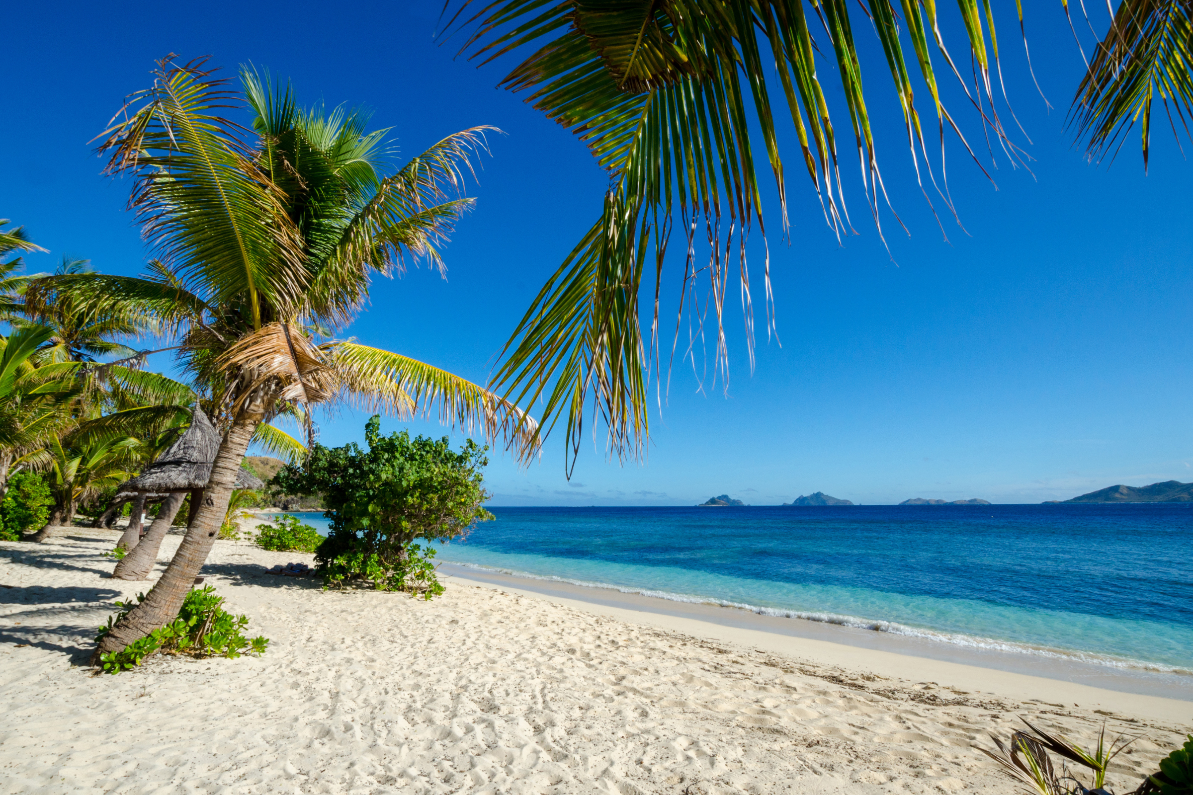kadavu island.webp